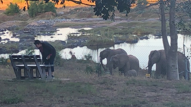 LookSouth in the Kruger National Park - Shimuwini Camp